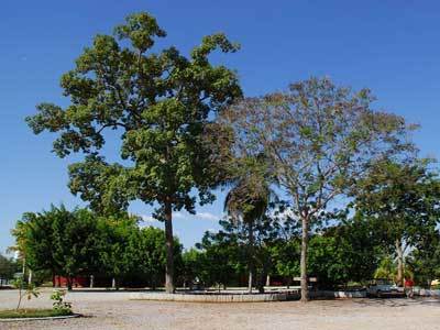 Hotel Fazenda Do Bertione Miranda Esterno foto