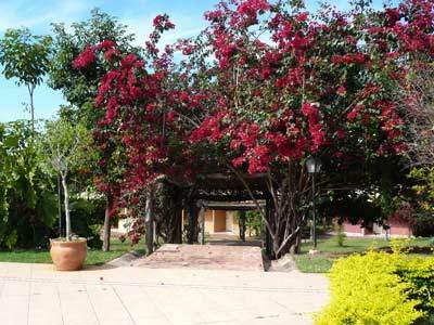 Hotel Fazenda Do Bertione Miranda Esterno foto